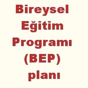 BEP Yıllık Planı